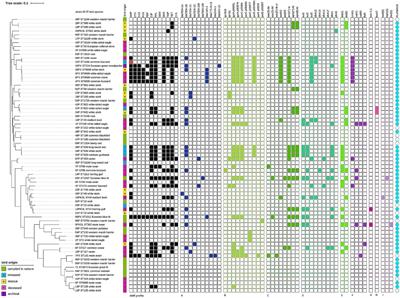 Antimicrobial Resistance Glides in the Sky—Free-Living Birds as a Reservoir of Resistant Escherichia coli With Zoonotic Potential